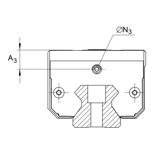 Линейная роликовая каретка RWU55-E-H INA
